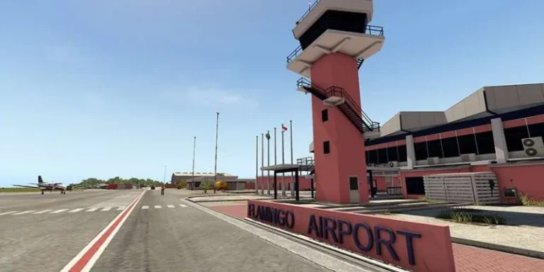 Flamingo International Airport