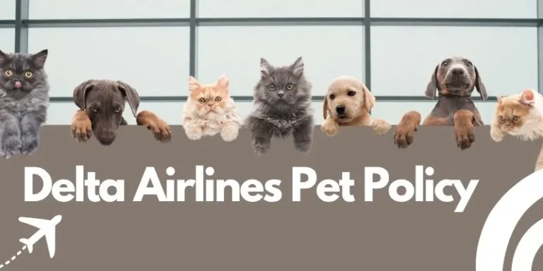 Delta Airlines Pet Policy