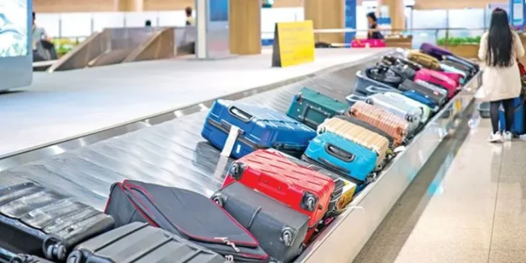 How Much Does It Cost to Check a Bag on Delta Airlines